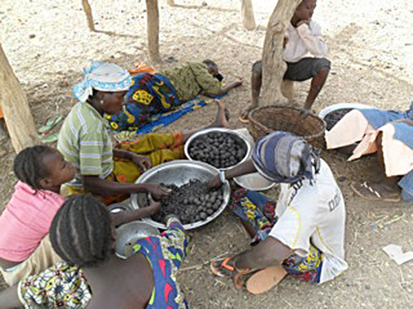 Frauen bereiten Soumbala zu